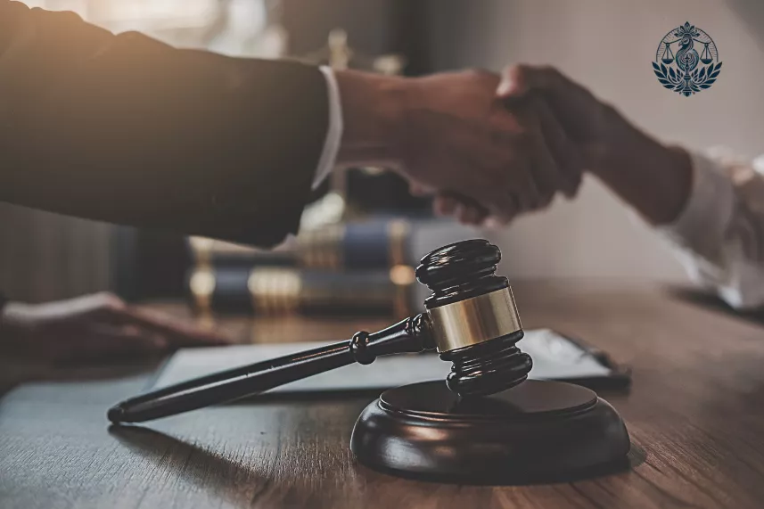 Bail Lawyer in Delhi