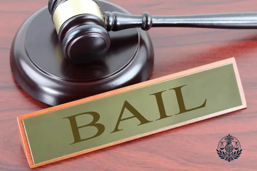 Bail Lawyer in Delhi 