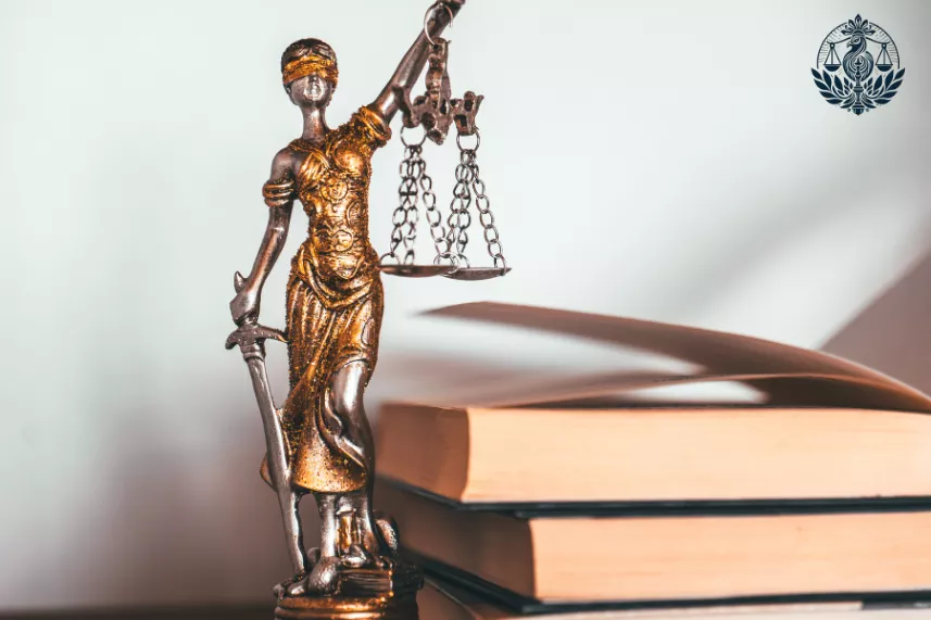 Criminal Lawyer in Delhi